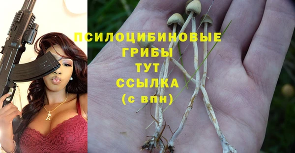 экстази Алексин