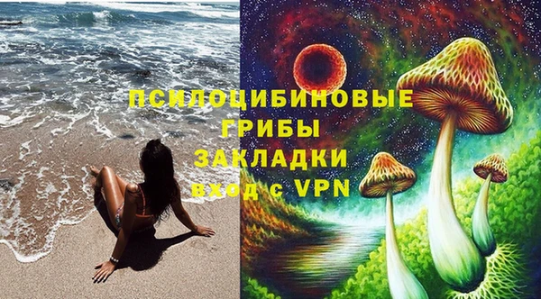 герыч Новозыбков