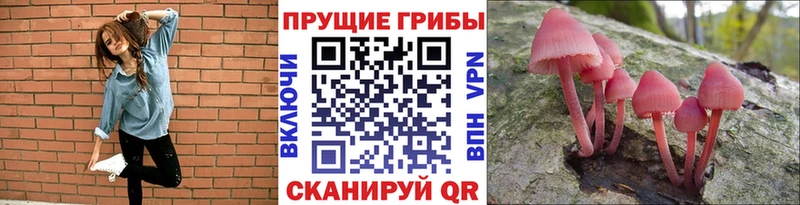 Псилоцибиновые грибы прущие грибы  купить   Бирск 